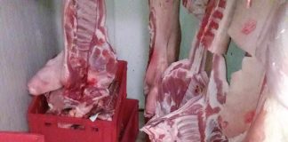 VIDEO: Mizerie în ,,strat gros” la o carmangerie din Târgu-Jiu. Comisariatul Protecției Consumatorilor Gorj a închis-o