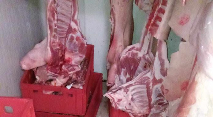 VIDEO: Mizerie în ,,strat gros” la o carmangerie din Târgu-Jiu. Comisariatul Protecției Consumatorilor Gorj a închis-o