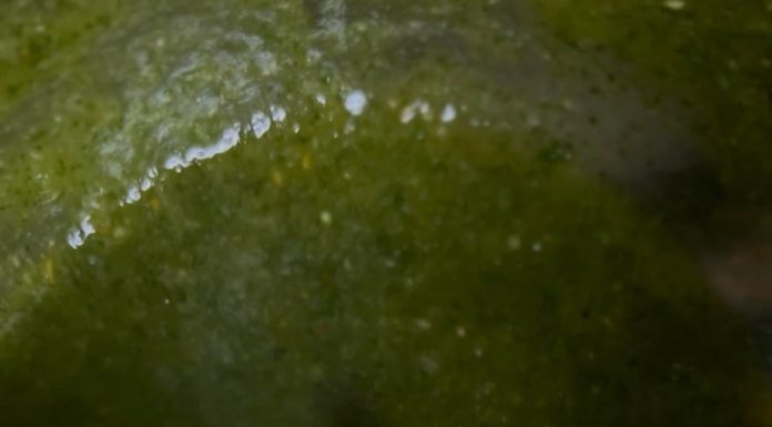 VIDEO: Rețeta săptămânii – Fabiskitchen: Sos Pesto de Busuioc