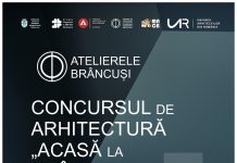 15 arhitecți vor să proiecteze cele trei porți de intrare în comuna Peștișani