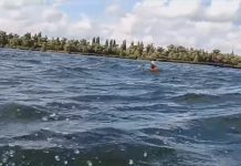 Avram Iancu se pregătește de finalul aventurii pe Rin!