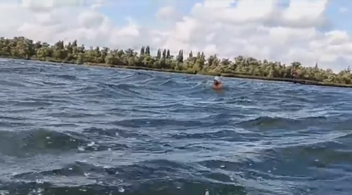 Avram Iancu se pregătește de finalul aventurii pe Rin!