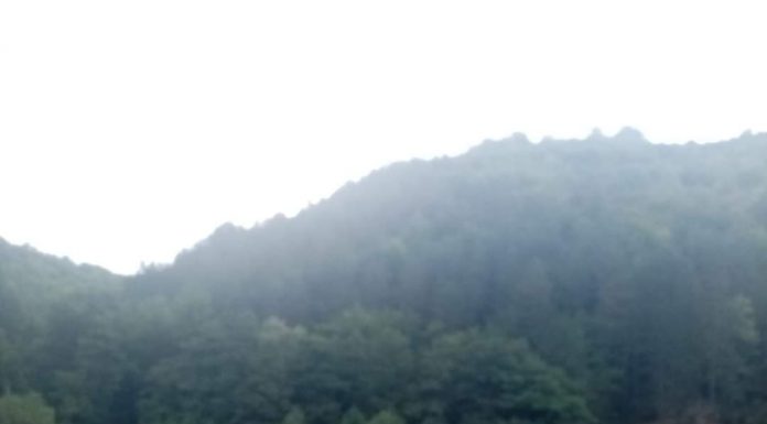 Garda de Mediu a descins pe Valea Gilortului