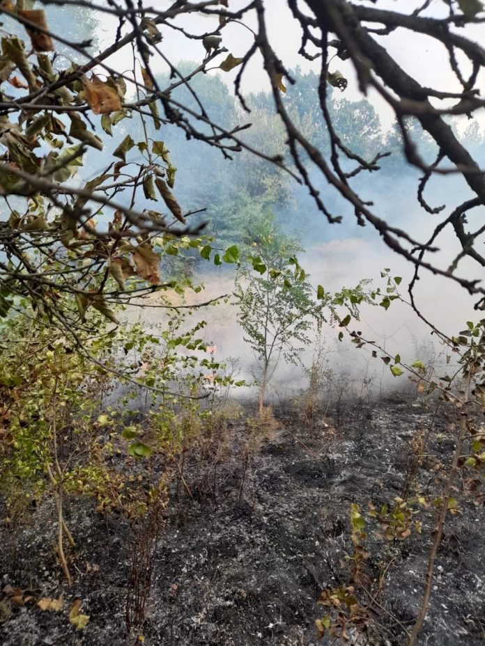 FB_IMG_1692878343965