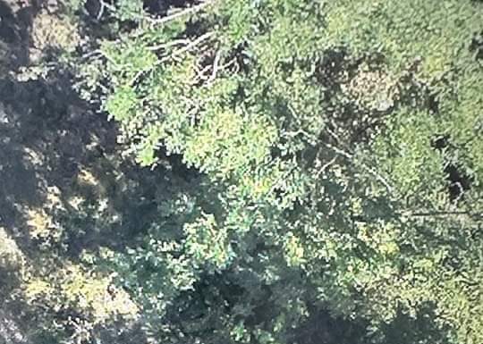 Salvamont Gorj intervine acum la un accident într-o zonă greu accesibilă