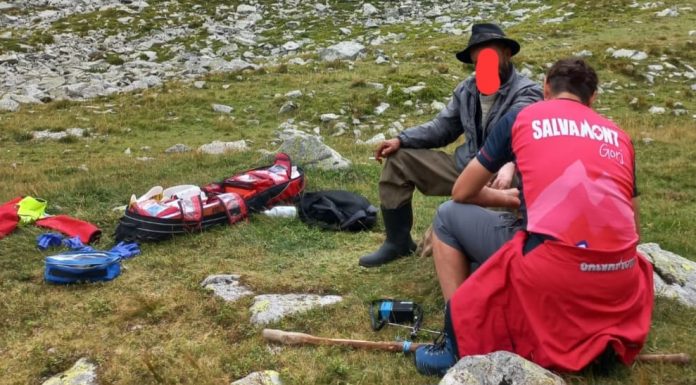 UPDATE: Bărbatul mușcat de viperă, transportat la spital