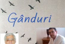 Gânduri…şi gânduri