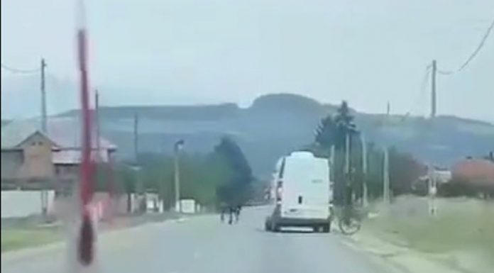 VIDEO: Biciclist accidentat mortal de un șofer diabetic