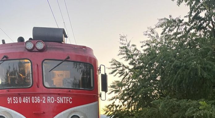 Tetila: Un bărbat a murit în mașina lovită de tren