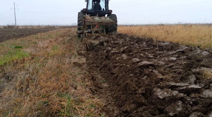 Agricultura pe înțelesul tuturor – Dacă toamna va fi timpurie și scurtă – Cum punem bazele viitoarelor culturi ?