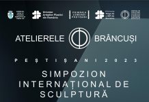 Simpozion internațional de sculptură la Peștișani
