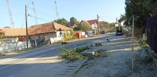 Zeci de câini fără stăpân, lăsați liberi pe străzile din Bâlteni! Un copil și o persoană aflată în scaun cu rotile, atacați!