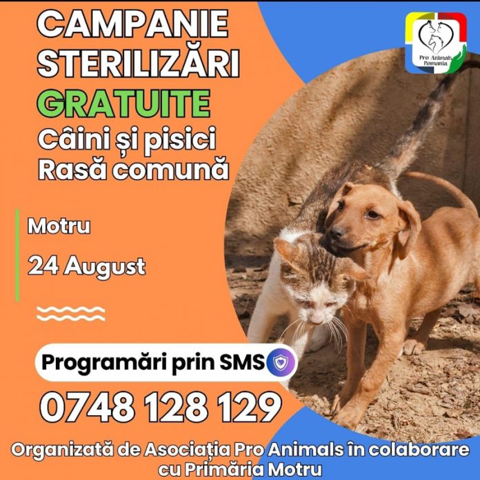 Astăzi, acțiune gratuită de sterilizare a patrupedelor, la Motru