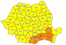 Gorjul, cod galben de caniculă