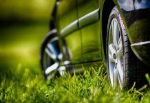 VIDEO: Reținut pentru distrugere