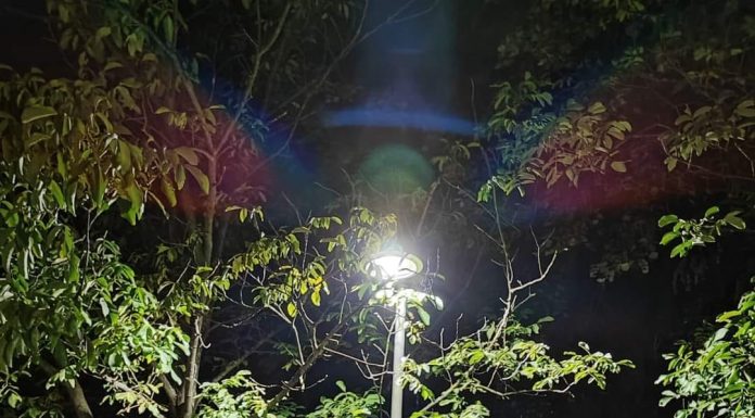 Proiect de un milion de euro pentru iluminatul public din Târgu Jiu