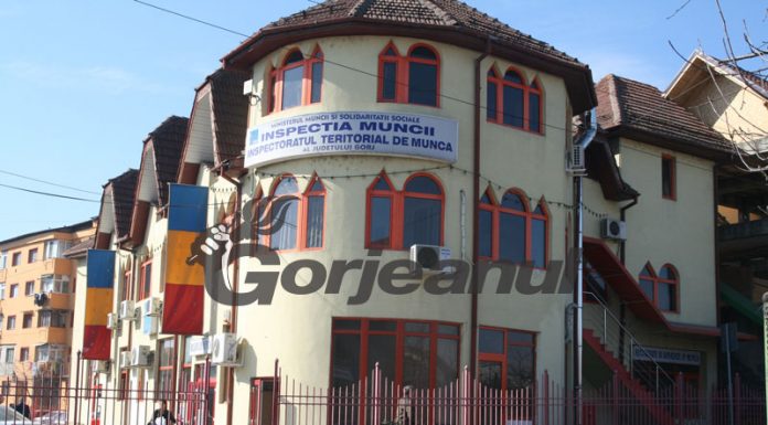 Amenzi de 88.000 de lei, aplicate de echipele ITM Gorj