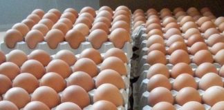 Mii de ouă împărțite persoanelor nevoiașe