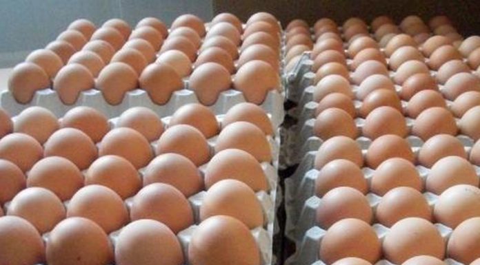 Mii de ouă împărțite persoanelor nevoiașe