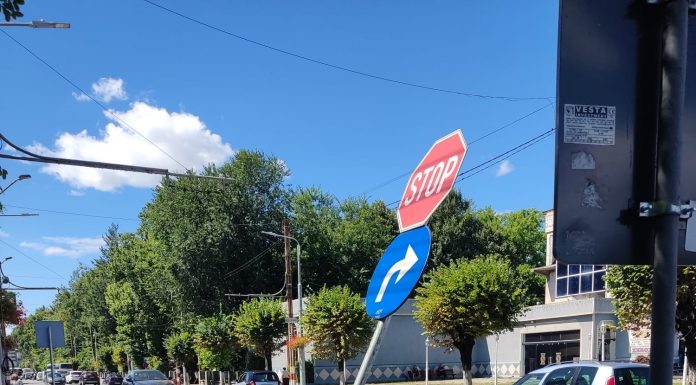 Amendat cu 500 de lei pentru distrugerea unui indicator rutier