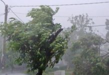 Agricultura pe înțelesul tuturor – Puțină agrometeorologie