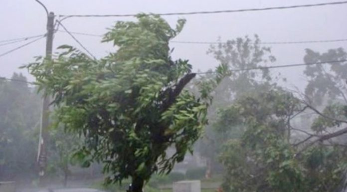 Agricultura pe înțelesul tuturor – Puțină agrometeorologie