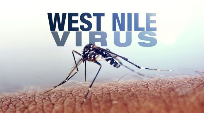 Şapte cazuri de infecţie cu virusul West Nile
