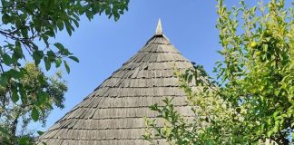 Gazeta Gorjului – Dealu’ Niculeștilor