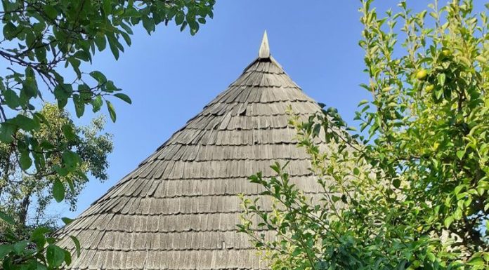 Gazeta Gorjului – Dealu’ Niculeștilor