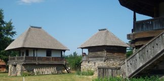 DIN NOU PRIN ŢARA JIULUI DE SUS