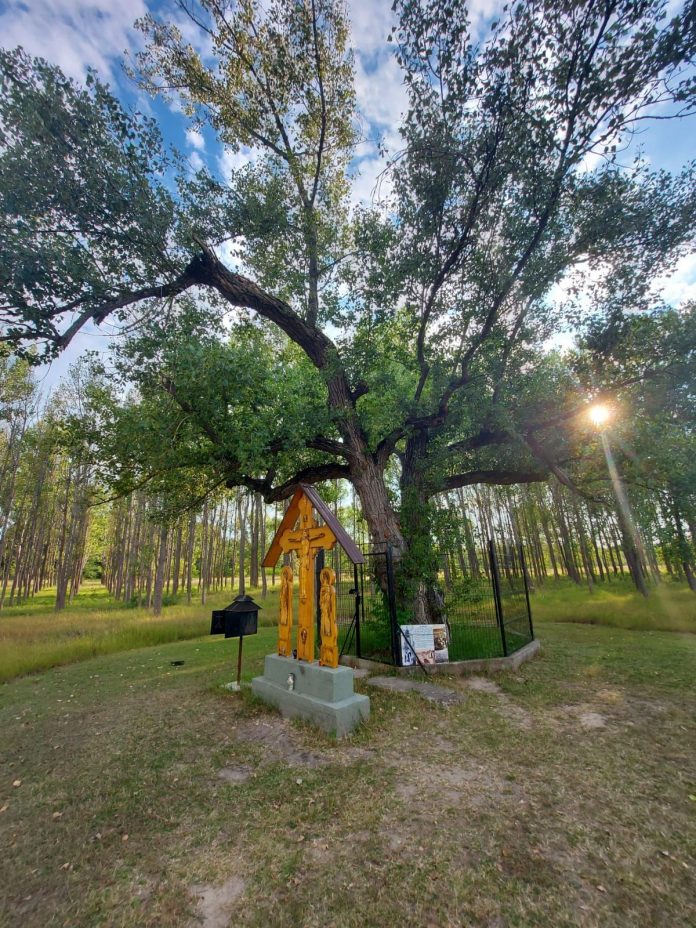 Teofania de la Maglavit