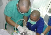 Un europarlamentar avertizează: E risc de botulism alimentar!