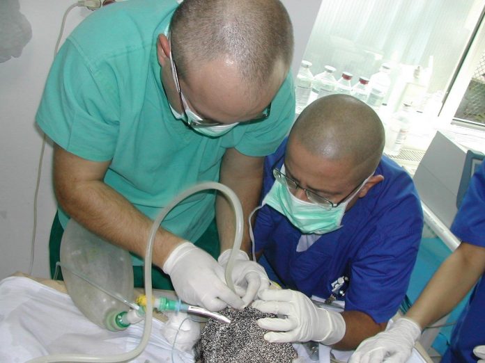 Un europarlamentar avertizează: E risc de botulism alimentar!