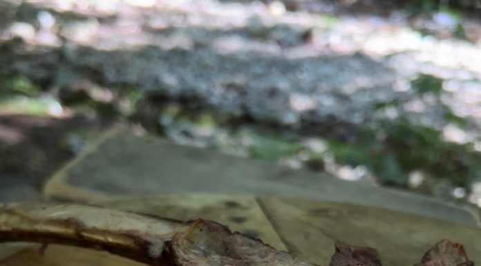 VIDEO: Rețeta săptămânii – Fabiskitchen: Antricot de vită Tomahawk la grătar