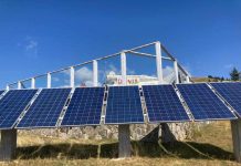 Arestat, înainte să fie naș la nuntă, în dosarul furtului de la Rânca!