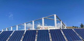 Arestat, înainte să fie naș la nuntă, în dosarul furtului de la Rânca!