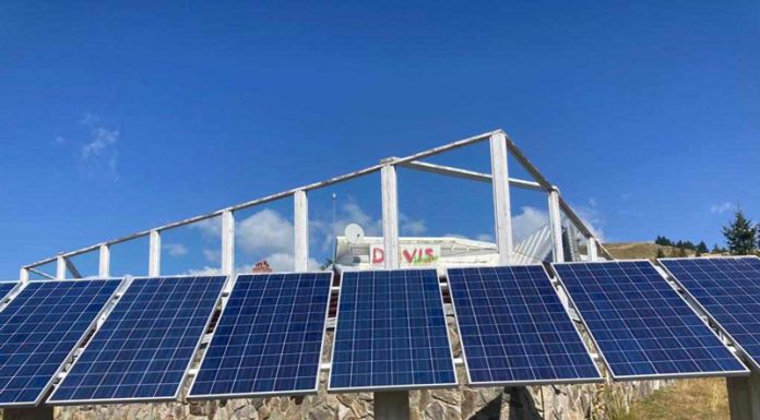 Arestat, înainte să fie naș la nuntă, în dosarul furtului de la Rânca!