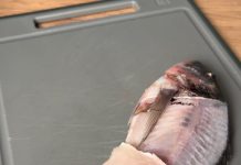 VIDEO: Rețeta săptămânii – Fabiskitchen: Doradă – Tehnica de filetare