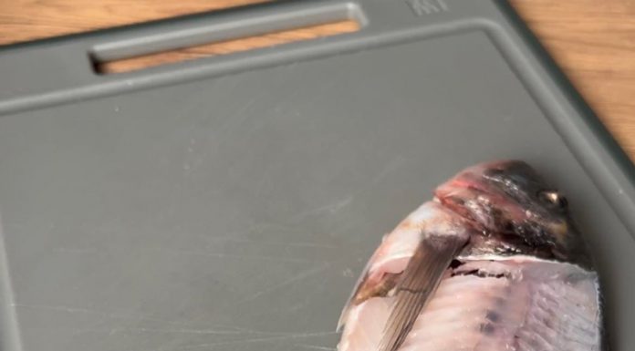 VIDEO: Rețeta săptămânii – Fabiskitchen: Doradă – Tehnica de filetare