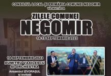 Olguța Berbec, Constantin Enceanu și Vlăduța Lupău vor concerta la Negomir