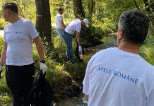 Angajații SGA Gorj ies la curățenie!