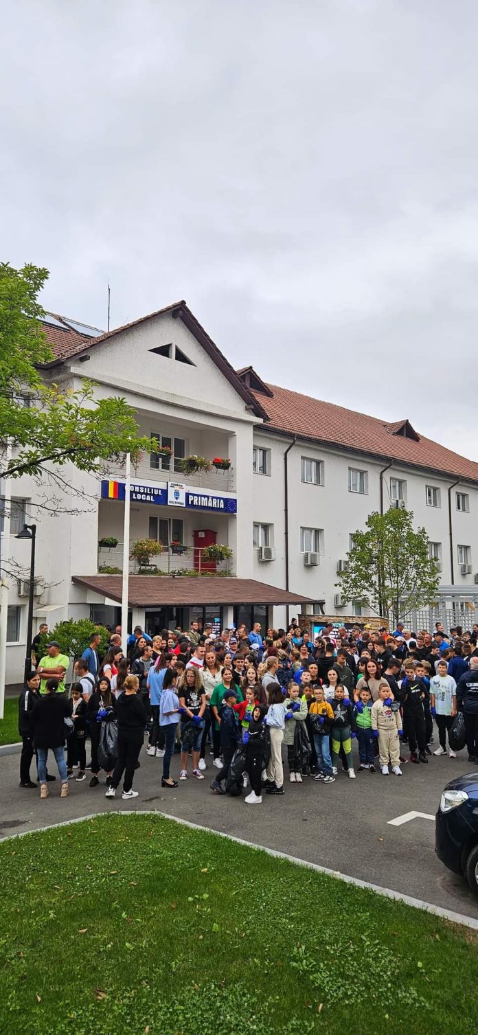 Peste 250 de rovinăreni, la acțiunea Let’s do it Romania!