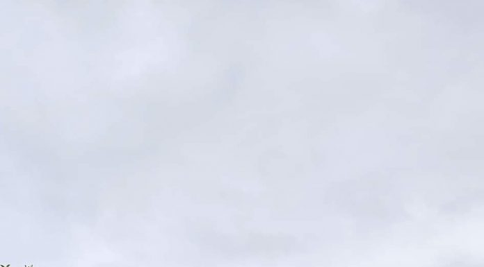 Peste 250 de rovinăreni, la acțiunea Let’s do it Romania!