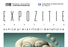 Expoziție semnată Cătălin Negrea, mâine, la Facultatea de Inginerie a UCB Târgu Jiu