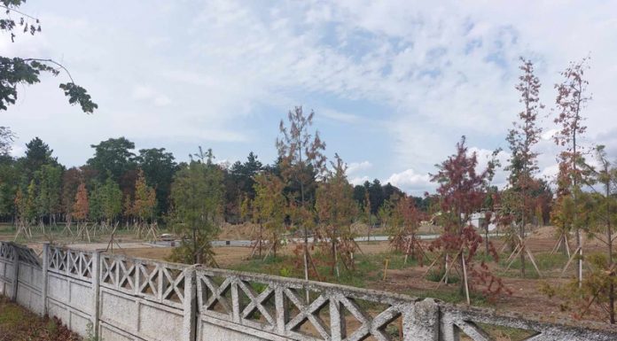 GALERIE FOTO: Parcul de 2,8 milioane de euro din cartierul Narciselor, departe de a fi finalizat! Termenul e depășit deja cu patru luni!