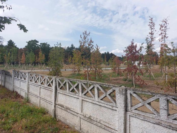 GALERIE FOTO: Parcul de 2,8 milioane de euro din cartierul Narciselor, departe de a fi finalizat! Termenul e depășit deja cu patru luni!
