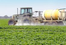 Agricultura pe înțelesul tuturor – Păstrarea și folosirea corectă a pesticidelor