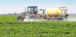Agricultura pe înțelesul tuturor – Păstrarea și folosirea corectă a pesticidelor