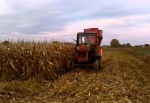 Agricultura pe înțelesul tuturor – Graficul lucrărilor agricole în luna octombrie