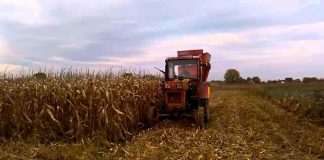 Agricultura pe înțelesul tuturor – Graficul lucrărilor agricole în luna octombrie